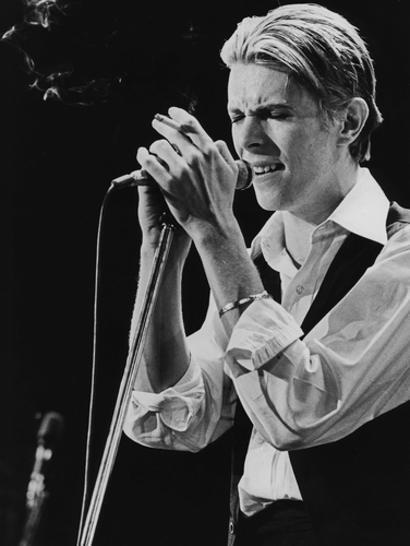 David Bowie photographed in 1976.