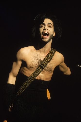 Prince performs in concert